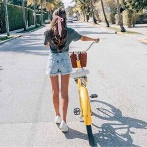 Agolde Parker Vintage Cut Off Shorts in Swapmeet